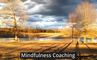 Living in Ease Mindfulness Coaching