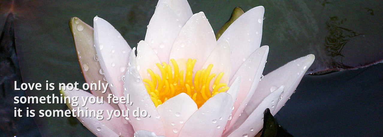 Living in Ease Image of Beautiful Flower F