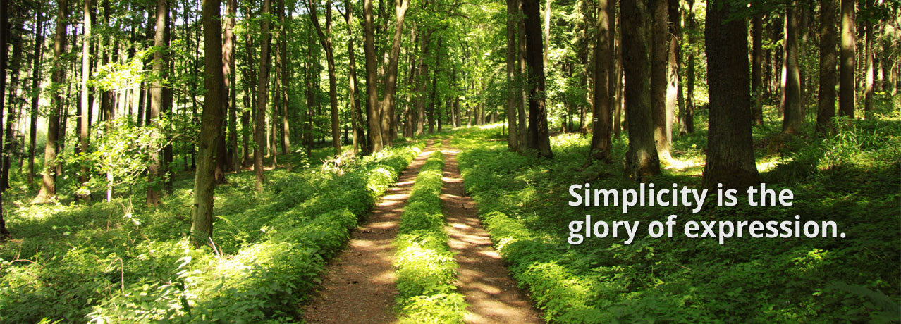 Living in Ease Image of Serene Forest